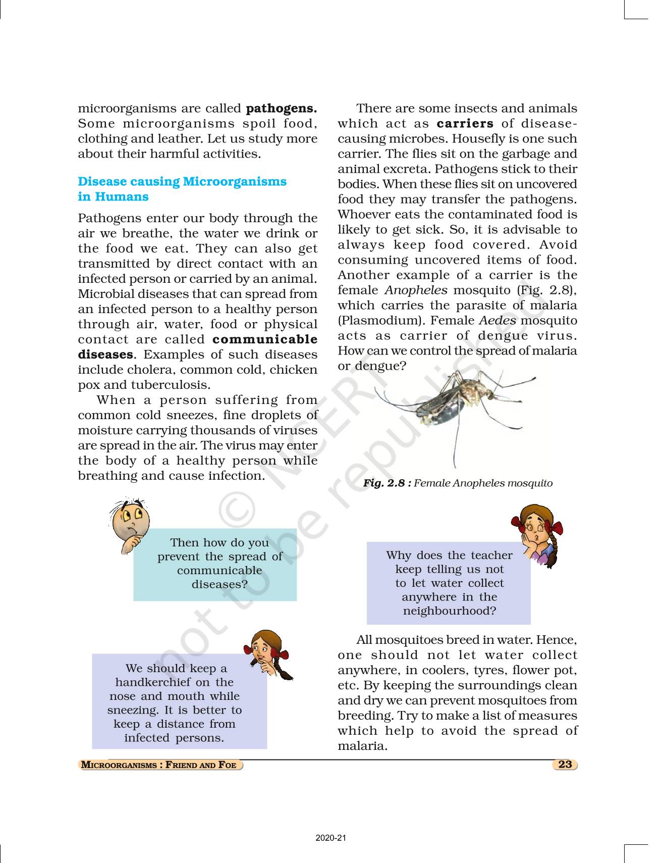 class-8-microorganisms-friend-and-foe-youtube